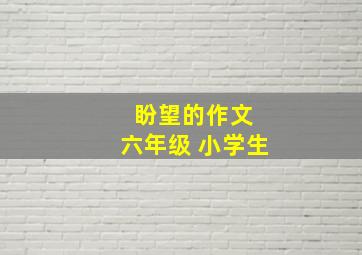 盼望的作文 六年级 小学生